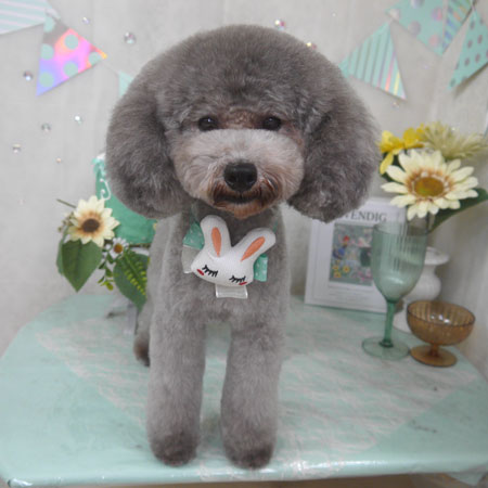 【山手店】2025年7月14日のワンちゃん達♪