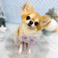 【池下店】2025年8月25日のワンちゃん達♪