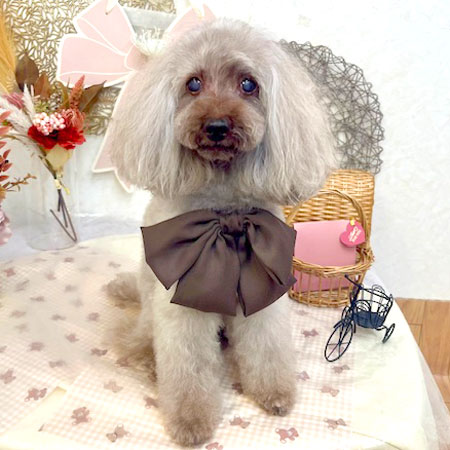 【池下店】2025年9月5日のワンちゃん達♪