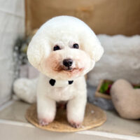 【本店】2025年9月28日のワンちゃん達♪