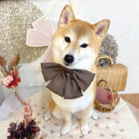 【池下店】2025年9月7日のワンちゃん達♪