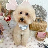 【池下店】2025年9月6日のワンちゃん達♪