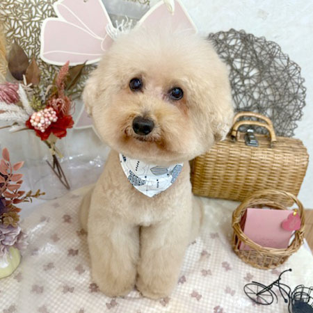 【池下店】2025年9月6日のワンちゃん達♪