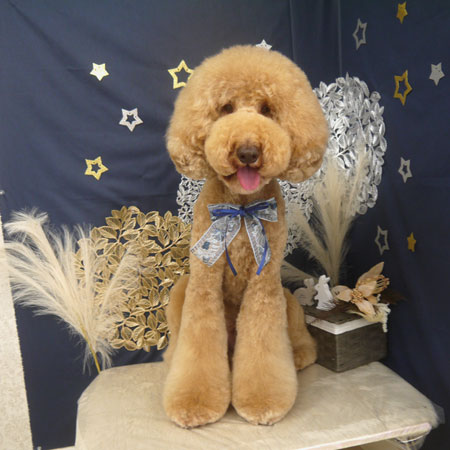 【山手店】2025年9月1日のワンちゃん達♪