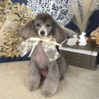 【山手店】2025年9月4日のワンちゃん達♪