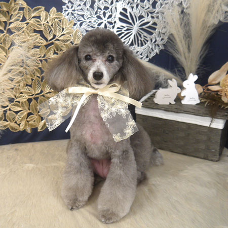 【山手店】2025年9月4日のワンちゃん達♪