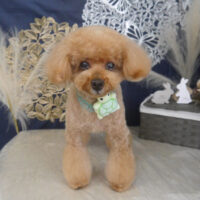 【山手店】2025年9月5日のワンちゃん達♪