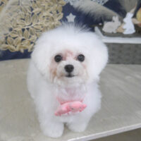 【山手店】2025年9月8日のワンちゃん達♪