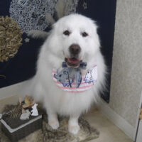 【山手店】2025年9月21日のワンちゃん達♪