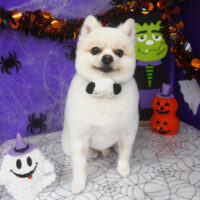 【山手店】2025年9月25日のワンちゃん達♪