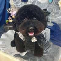 【池下店】2025年10月3日のワンちゃん達♪