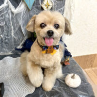 【池下店】2025年10月24日のワンちゃん達♪