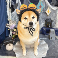 【池下店】2025年10月2日のワンちゃん達♪