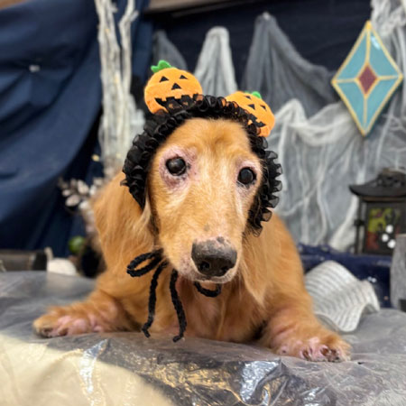 【池下店】2025年10月6日のワンちゃん達♪