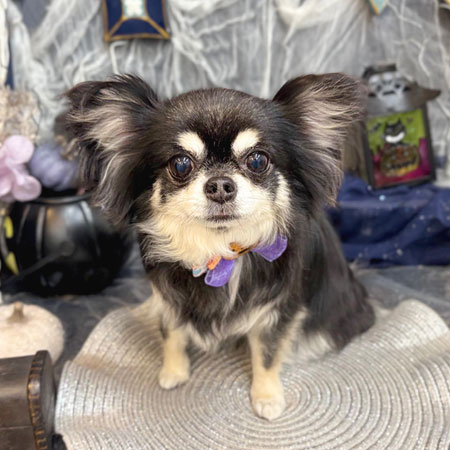 【池下店】2025年10月19日のワンちゃん達♪