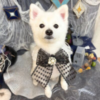 【池下店】2025年10月20日のワンちゃん達♪