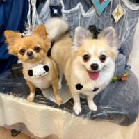 【池下店】2025年10月18日のワンちゃん達♪