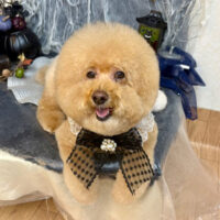 【池下店】2025年10月25日のワンちゃん達♪