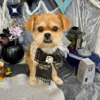 【池下店】2025年10月30日のワンちゃん達♪