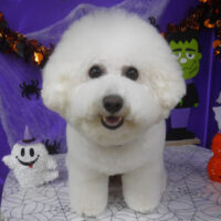 【山手店】2025年10月2日のワンちゃん達♪