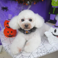 【山手店】2025年10月26日のワンちゃん達♪