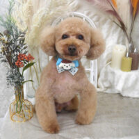 【山手店】2025年10月27日のワンちゃん達♪