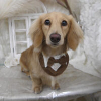 【山手店】2025年10月30日のワンちゃん達♪