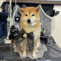 【池下店】2025年10月31日のワンちゃん達♪