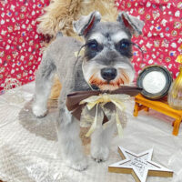 【池下店】2025年11月7日のワンちゃん達♪