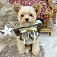 【池下店】2025年11月16日のワンちゃん達♪