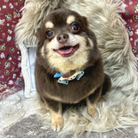 【池下店】2025年11月17日のワンちゃん達♪