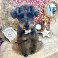 【池下店】2025年11月8日のワンちゃん達♪