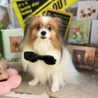 【本店】2025年11月6日のワンちゃん達♪