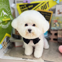 【本店】2025年11月15日のワンちゃん達♪