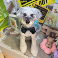 【本店】2025年11月16日のワンちゃん達♪