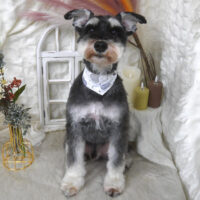 【山手店】2025年11月2日のワンちゃん達♪