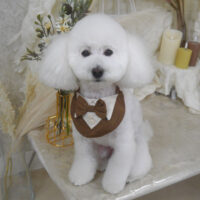 【山手店】2025年11月6日のワンちゃん達♪