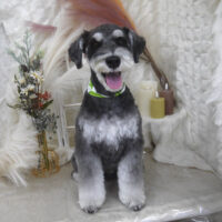 【山手店】2025年11月8日のワンちゃん達♪