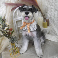 【山手店】2025年11月9日のワンちゃん達♪