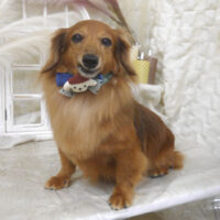 【山手店】2025年11月13日のワンちゃん達♪