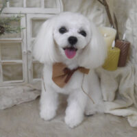 【山手店】2025年11月22日のワンちゃん達♪