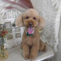 【山手店】2025年11月24日のワンちゃん達♪