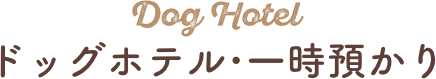 ドッグホテル・一時預かり