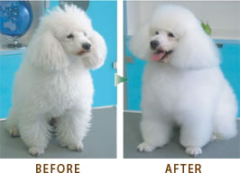 アニマルアーユルヴェーダ ハーブパックの効果