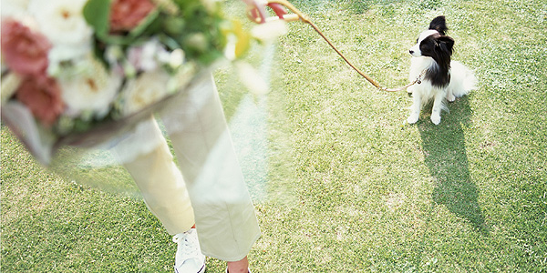 初めてのお客様にはWEB限定クーポン券がございます