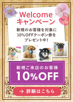 割引きクーポン