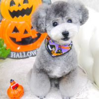 【山手店】2017年9月29日のワンちゃん達♪