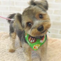 【山手店】2017年9月3日のワンちゃん達♪