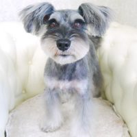 【山手店】2017年9月9日のワンちゃん達♪