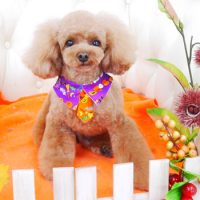 【山手店】2017年10月27日のワンちゃん達♪